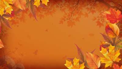 Warm Autumn Colors Am 05