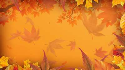 Warm Autumn Colors Am 06